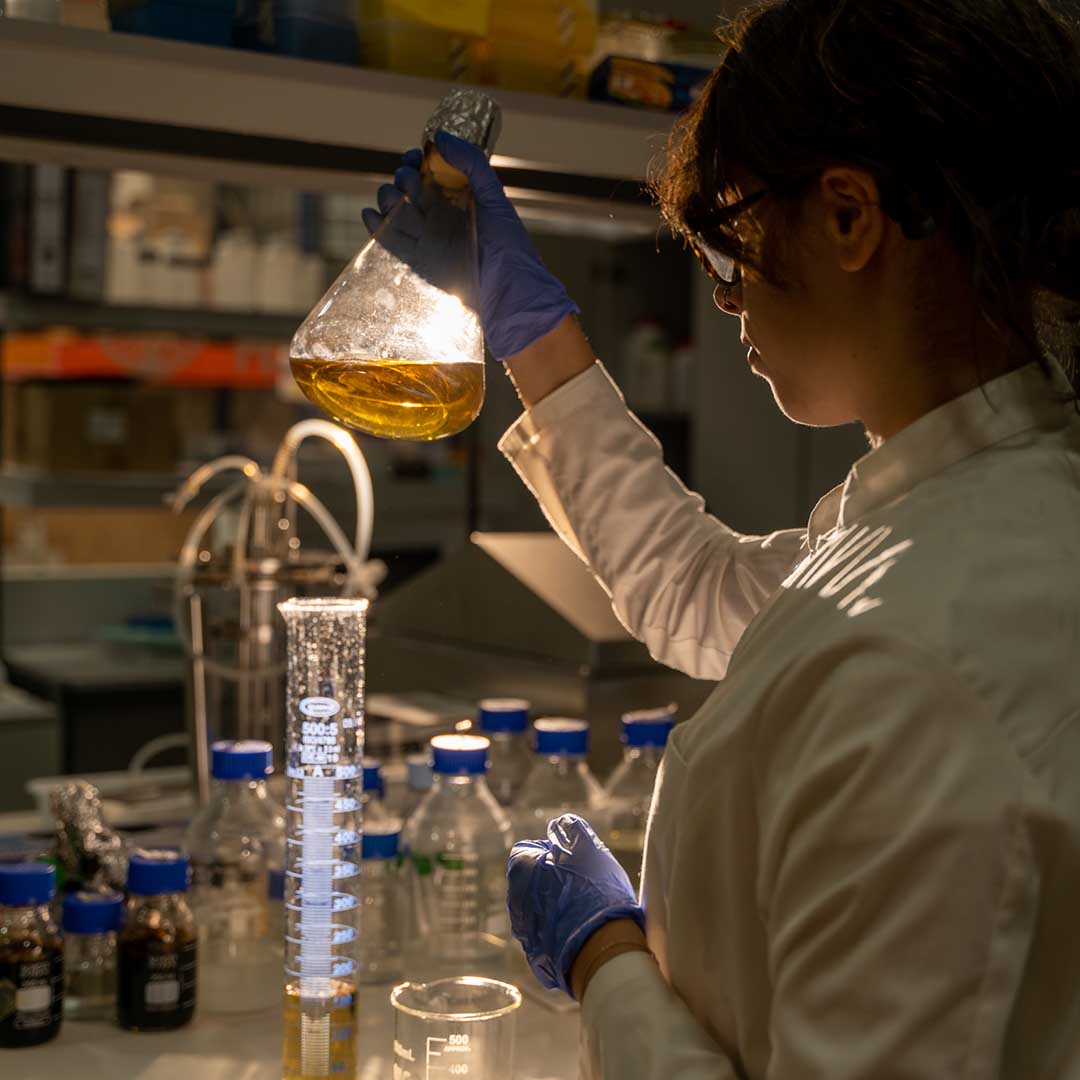 Laboratorio de biofertilización